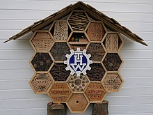 Insektenhotel des THW-Altenburg